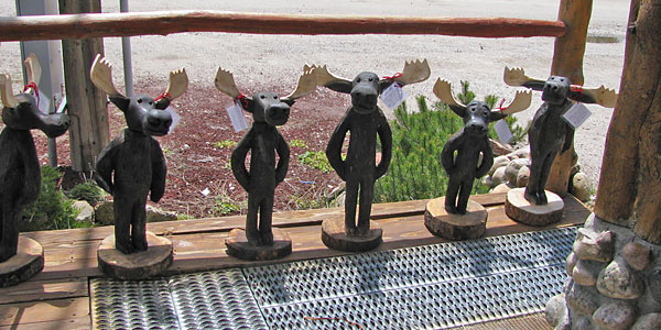 Steve Horn Gallery - Moose Winkle