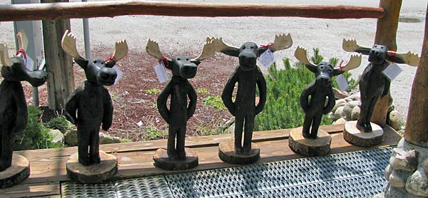 Steve Horn Gallery - Moose Winkle