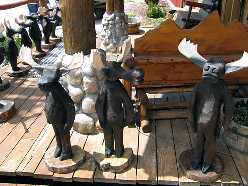 Steve Horn Gallery - Moose Winkle